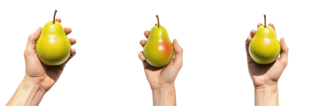 Hand holding a sliced pear Pyrus communis cut fruit Pera troceada Poire coupee organic snack juicy white flesh seeds health nutrition fiber farm fresh harvest produce product photography