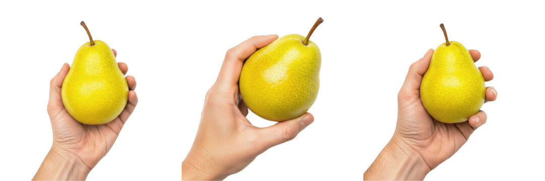 Hand holding a green pear Pyrus communis unripe fruit Pera verde Poire verte Grune Birne organic orchard harvest healthy snack fiber farm fresh produce vitamin rich nutrition stock photo