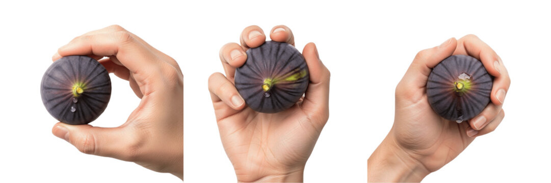 Hand holding a sliced fig Ficus carica cut fruit Higo troceado Figue coupee Mediterranean snack pink pulp seeds organic healthy snack vitamin fiber farm fresh harvest produce nutrition