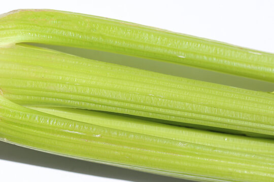 Fresh celery isolated on white background