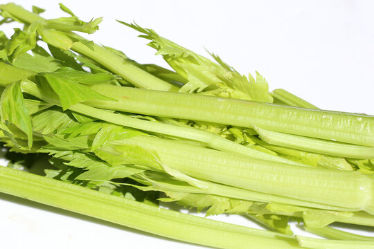 Fresh celery isolated on white background