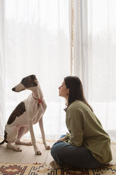 Pet owner sits with greyhound in indoor space by the window