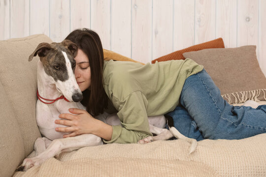 Young Woman Cuddling Greyhound on Sofa in Cozy Home Setting