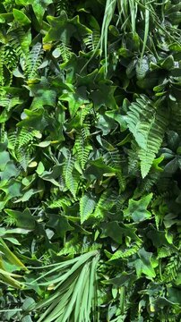 Artificial plastic green foliage of ivy and ferns creates a lush, textured background ideal for nature themes, eco designs, botanical projects, or environmental and garden-related visuals,4K.