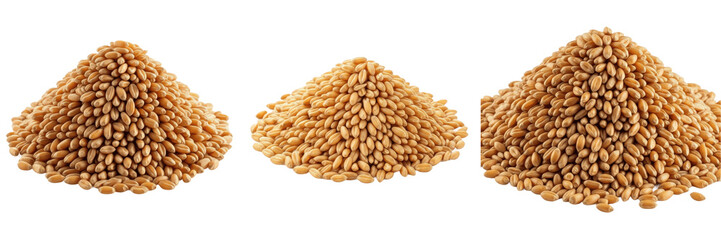 Pile of Raw Wheat Grain Grains - Agriculture Harvest for Flour Production, Bakery Ingredients, and Healthy Cereal Marketing - Isolated Wheat Seed PNG © Jazzy E