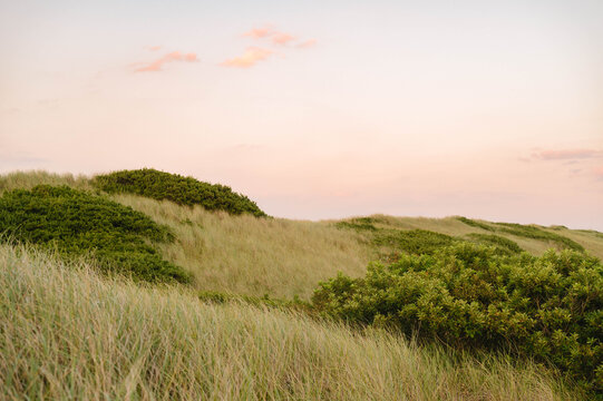 Rolling sand dunes and beach grass at sunset in Truro, Cape Cod