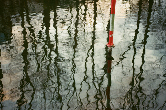 Tree reflection over canal during winter