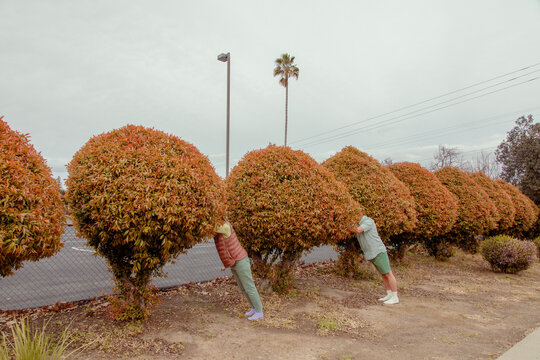People with heads in bush
