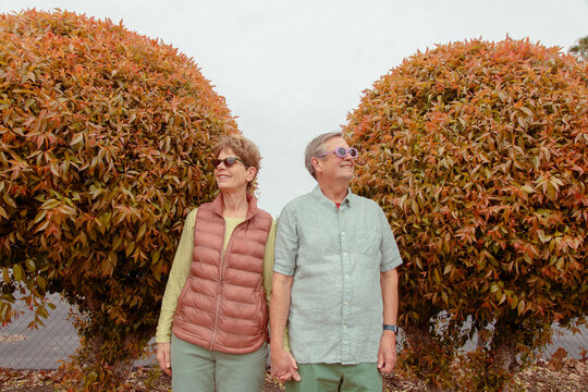 Couple holding hands by shrubs