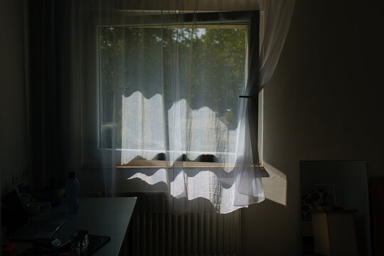 Soft sunlight through sheer curtain in quiet interior 