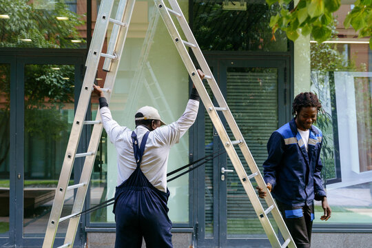 Urban tree maintenance between modern office buildings
