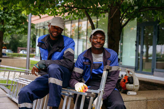 Urban tree maintenance between modern office buildings