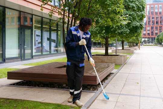 Urban tree maintenance between modern office buildings