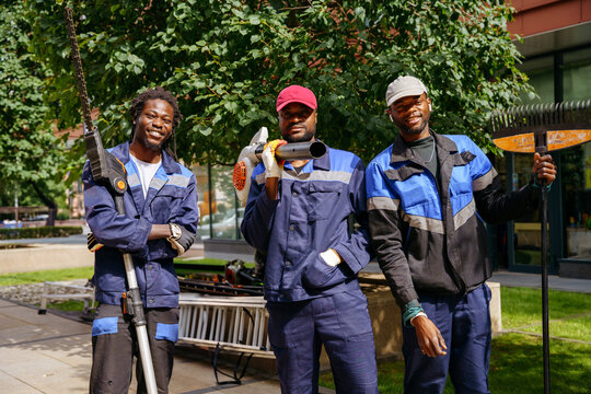 Urban tree maintenance between modern office buildings