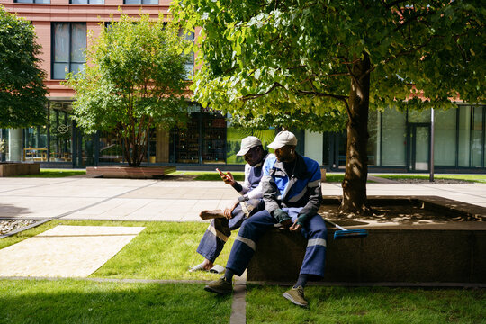 Urban tree maintenance between modern office buildings