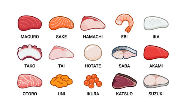 Assorted sushi and sashimi pieces arranged on white background