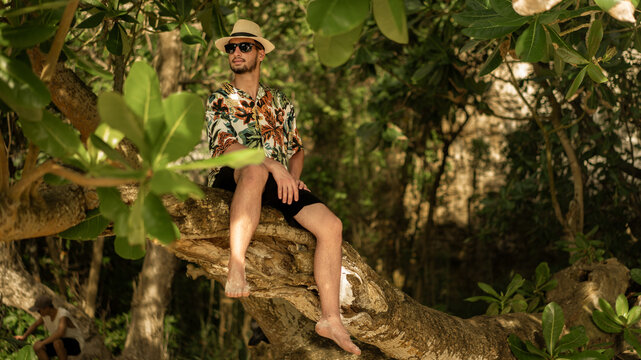 Jungle Veranda