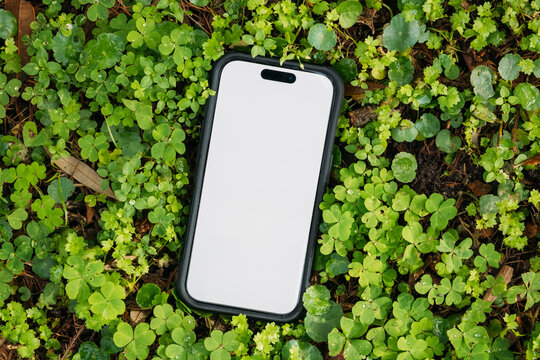 Blank White Phone Screen Green Nature Outdoors
