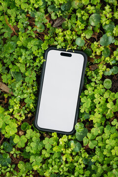 Blank Phone Screen Green Nature Outdoors