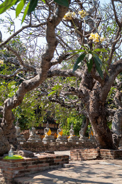 Wat Phra Si Sanphet temple details.