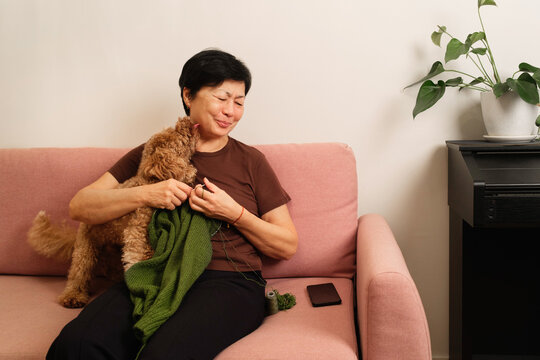Woman enjoys time with dog on couch while knitting