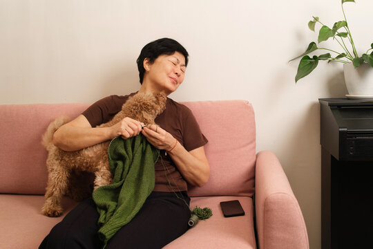 Woman enjoys time with dog on couch while knitting