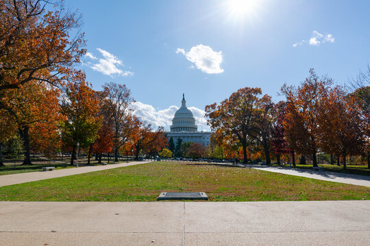Fall in Washington, DC, with the Capitol Building in the Background