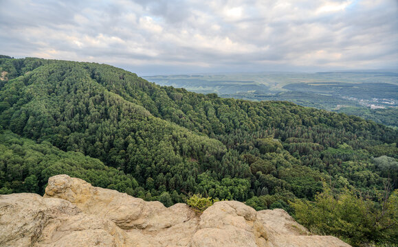 Majestic rocky cliffs and towering pine trees against blue sky.