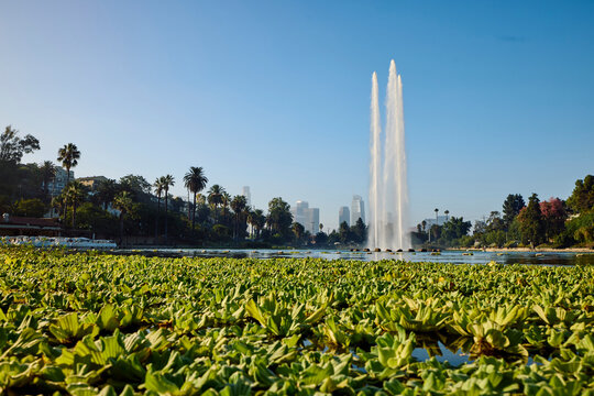 Lake Echo Park in Los Angeles