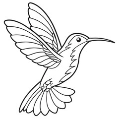 Obraz premium Hummingbird Coloring Book Style