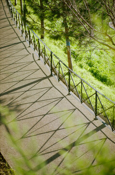 Sunlit Path Rail Shadows