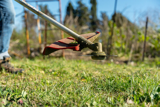 Brush Cutter Trimming Grass