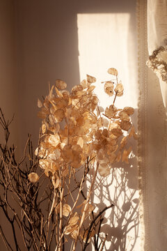 Decor details 