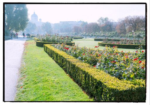 Formal Rose Garden with Geometric Hedges in Vienna Volksgarten