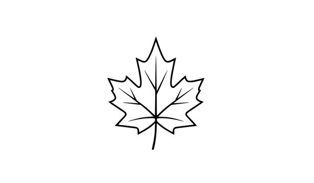 Maple leaf minimalist outline icons fall autumn nature vector illustration set