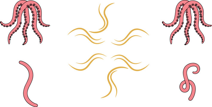 Octopus tentacles set hand drawn marine elements swirling lines and sea creature limbs vector illustration isolated design collection