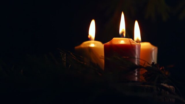 Three colorful Christmas candle flames - pink, green, yellow burning near green fir branch on wood candlestick with dried orange, cones on black background. Happy New Year celebration. No people. 