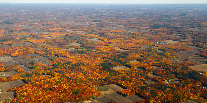 Aerial view of vibrant autumn landscape with colorful foliage