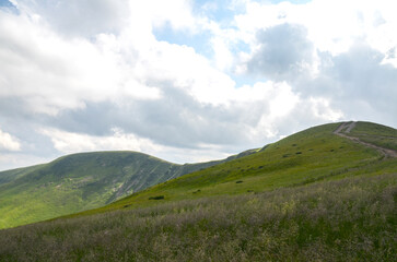 Fototapeta premium Scenic green rolling hills and a grassy ridge lit by soft summer light beneath heavy clouds, conveying calm, openness and natural beauty for travel, outdoor, landscape and environmental projects
