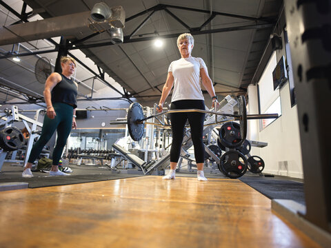 Women Lift Weights in Gym During Workout Session for Strength Training