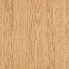 Fototapeta premium Wood grain texture surface