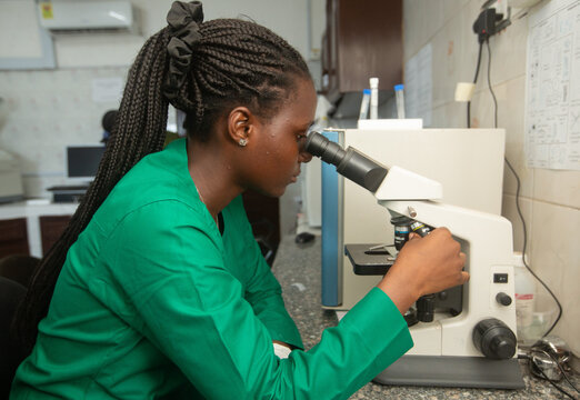 Medical Professional Reviewing Data on Laboratory Analyzer