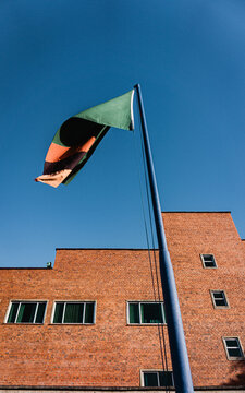 The zambian flag