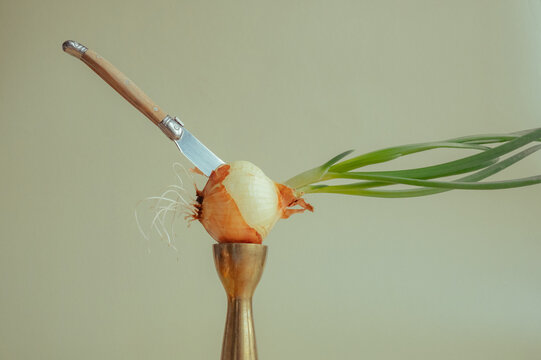 Onion with knife placed 