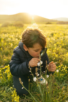 Little boy discovering nature with magnifying glass in field