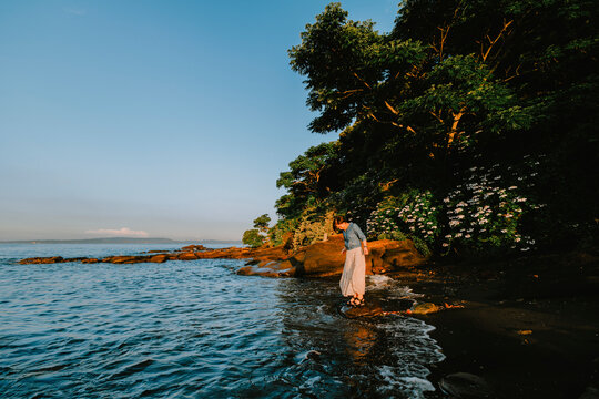 A Serene Moment of Play Amidst Sunset, Hydrangeas, and Waves.