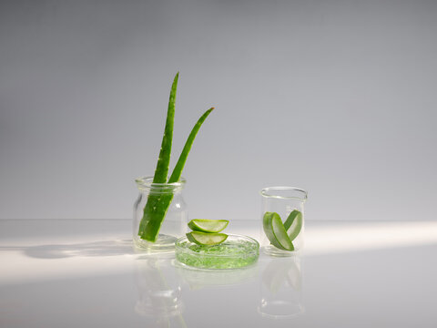 Aloe vera plant with leaves and gel in glass containers