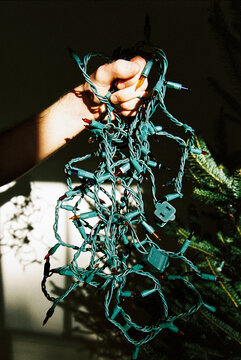 Hand Holds Tangled String of Christmas Lights