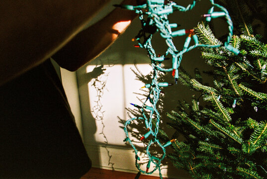 Film photo of man detangling Christmas tree lights