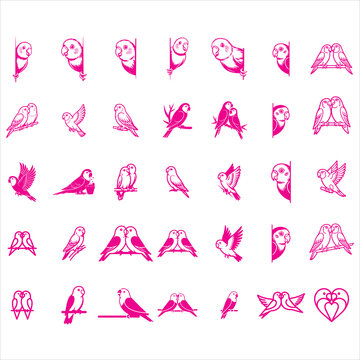 Lovebird Icon Set Pattern
